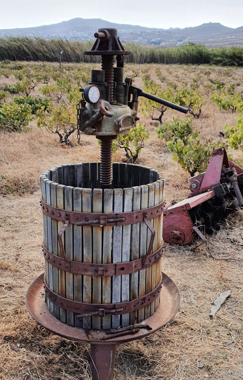 Weintasting Südafrika