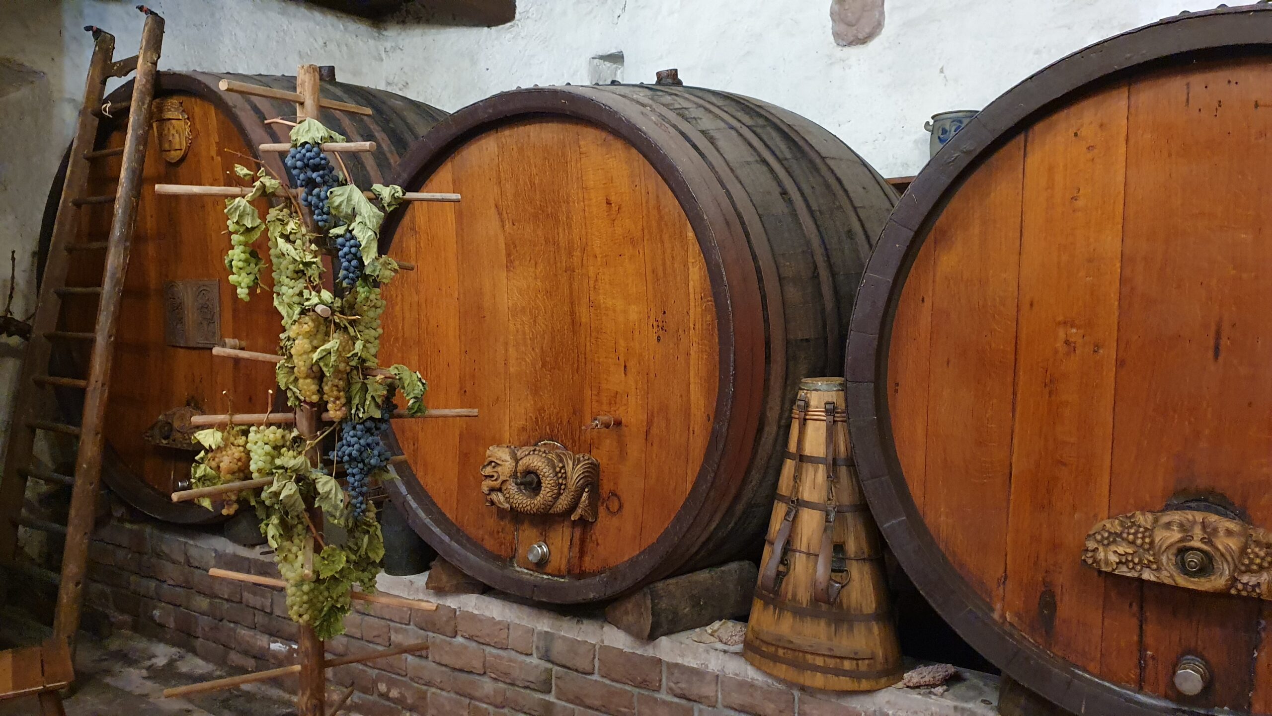 Weintasting Frankreich